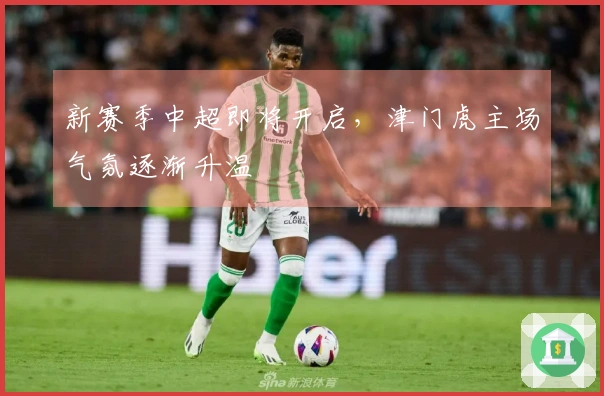新赛季中超即将开启，津门虎主场气氛逐渐升温