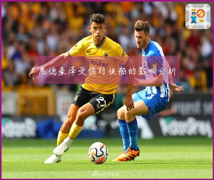 尼德豪泽受伤对快船的影响分析