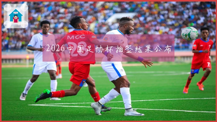 2026中国足协杯抽签结果公布